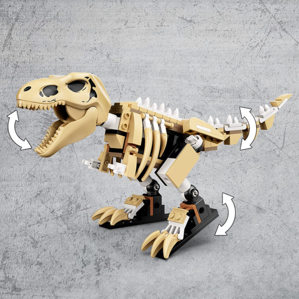 Dinosaur Fossil3